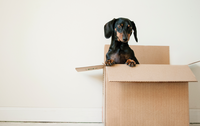 Photo by Erda Estremera on Unsplash Photo by Erda Estremera on Unsplash