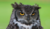 Photo by Paul Morley on Unsplash Photo by Paul Morley on Unsplash